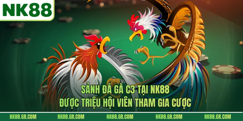 Sảnh đá gà c3 tại NK88 được triệu hội viên tham gia cược
